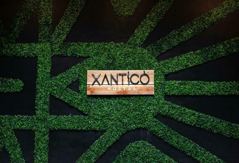 پانسیون Xanticohostal