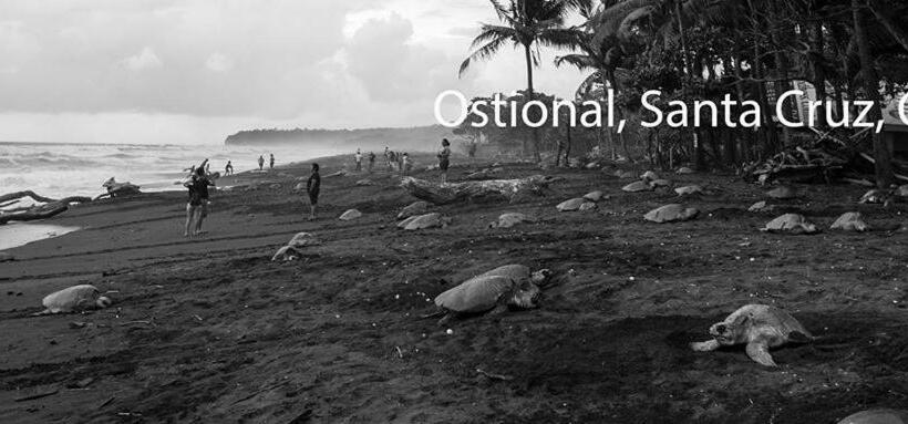 هاستل Cabinas Surf Arribadas