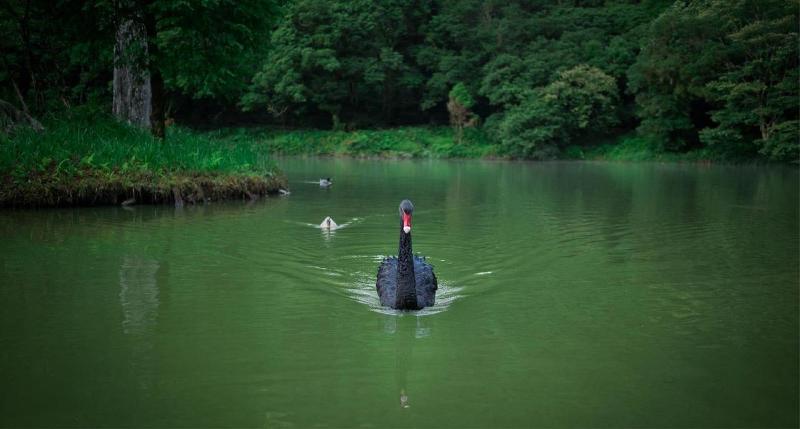 هتل Mingchih Resort