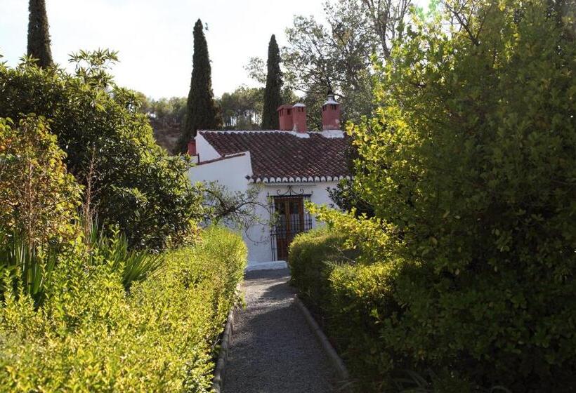 Casas Cueva La Tala