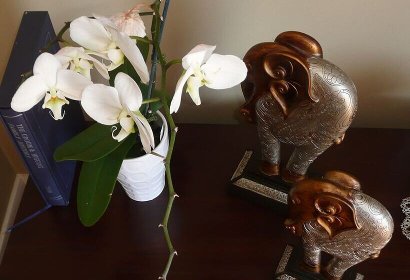 Fotos del hotel Kershaw House Boutique Accommodation:  12