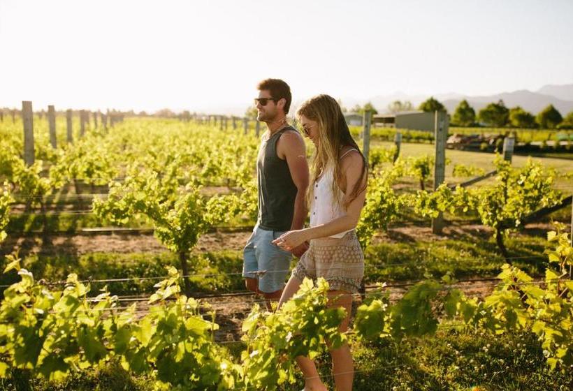 هتل Marlborough Vintners Accommodation