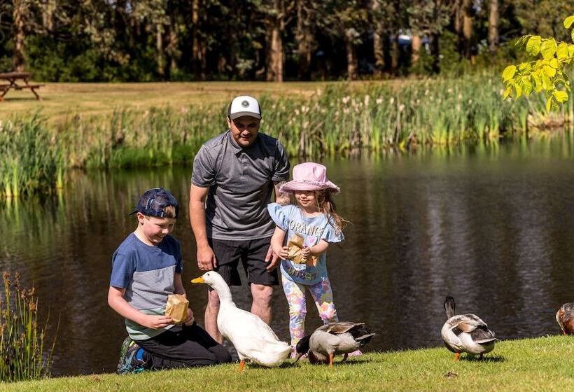 בית מלון כפרי Tall Timbers Tasmania