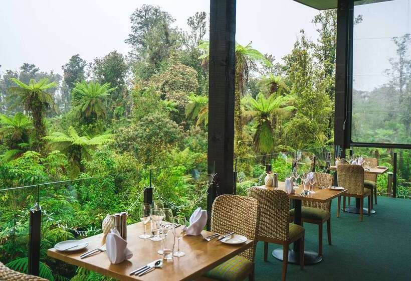 Fotos del hotel Te Waonui Forest Retreat:  36