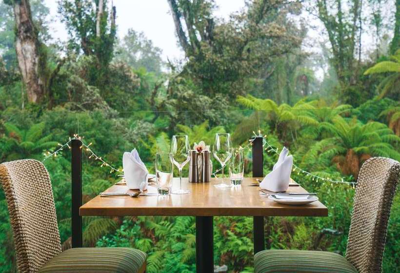 Fotos del hotel Te Waonui Forest Retreat:  13