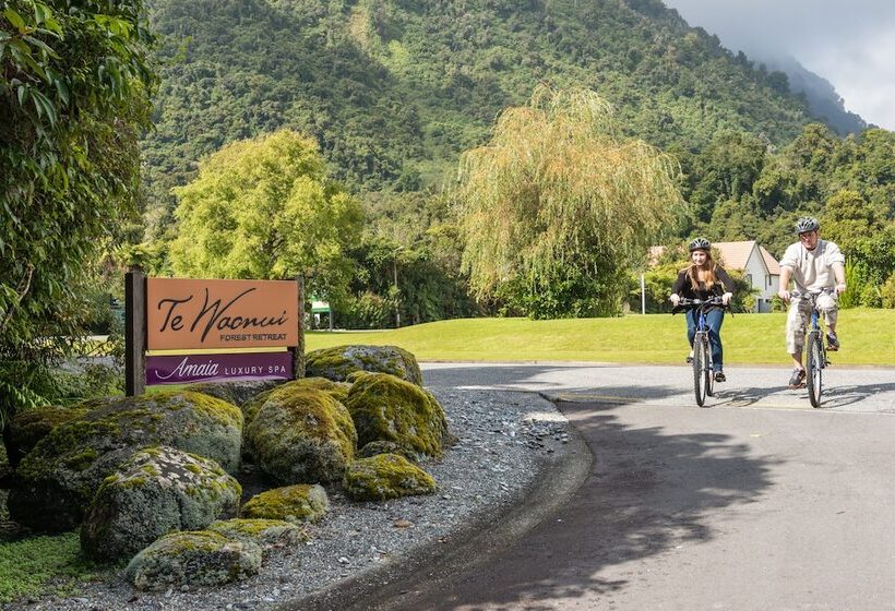 Fotos del hotel Te Waonui Forest Retreat:  51