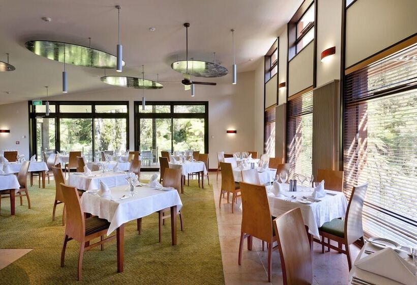 Fotos del hotel Te Waonui Forest Retreat:  8