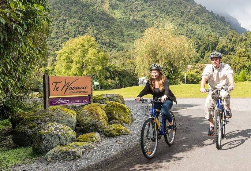 Fotos del hotel Te Waonui Forest Retreat:  52