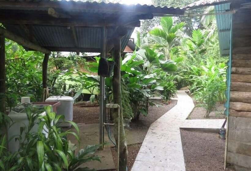 Отель Bromelias Corcovado Apartments