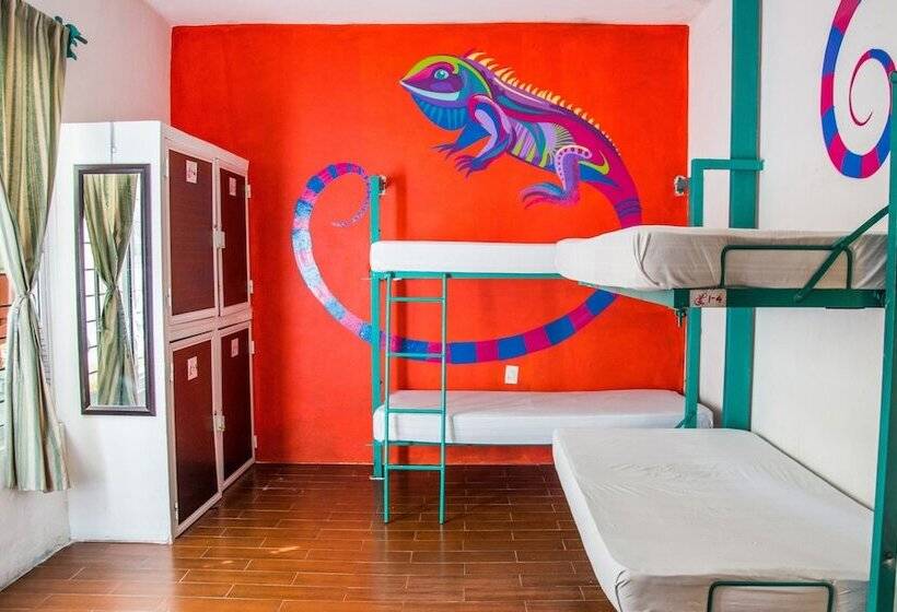 Hotelli Enjoy Playa Hostel