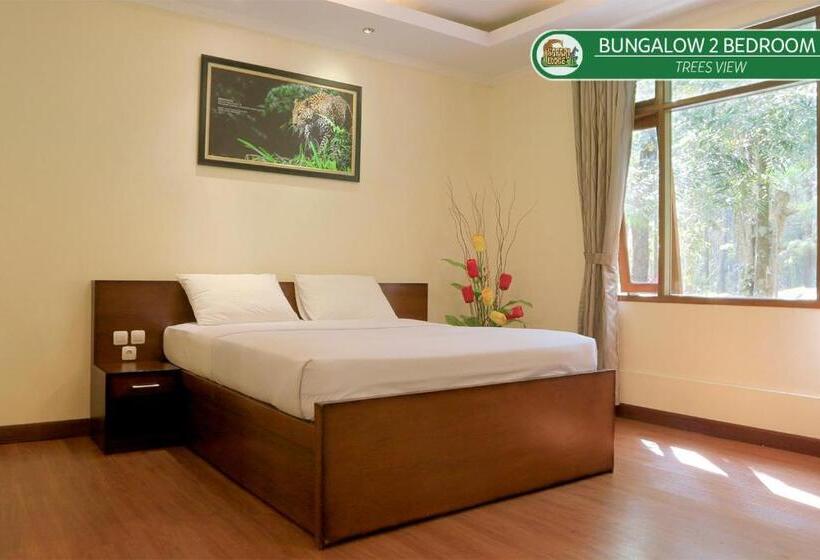 בית מלון כפרי Safari Resort