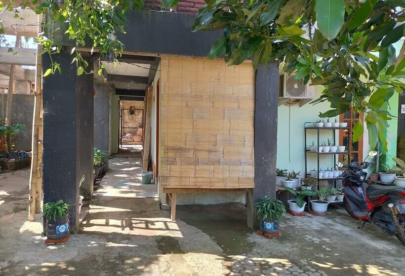 هاستل Cheap Inn Banyuwangi