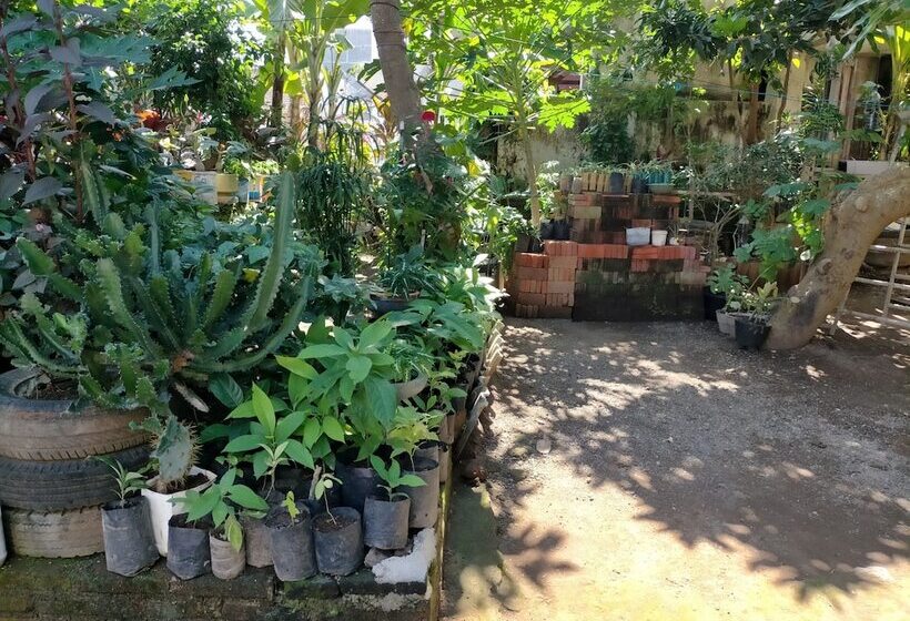 هاستل Cheap Inn Banyuwangi