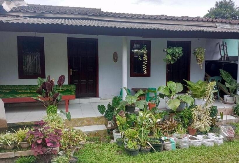 בית מלון כפרי Homestay Wijaya Mulya