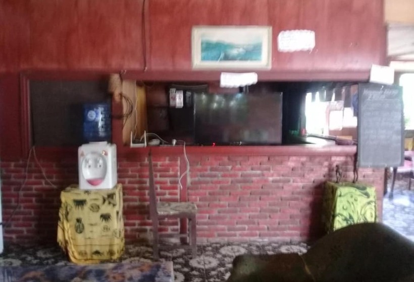 پانسیون Merlyn Guest House