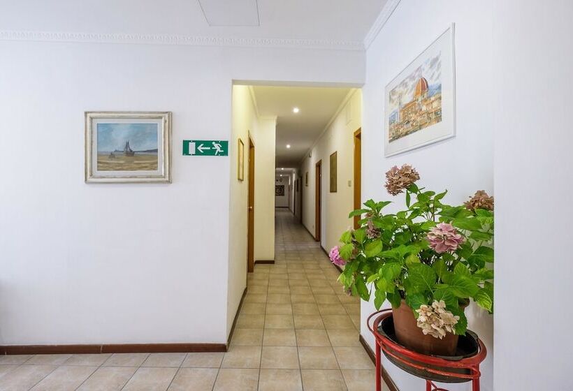 هاستل Youth Firenze 2000