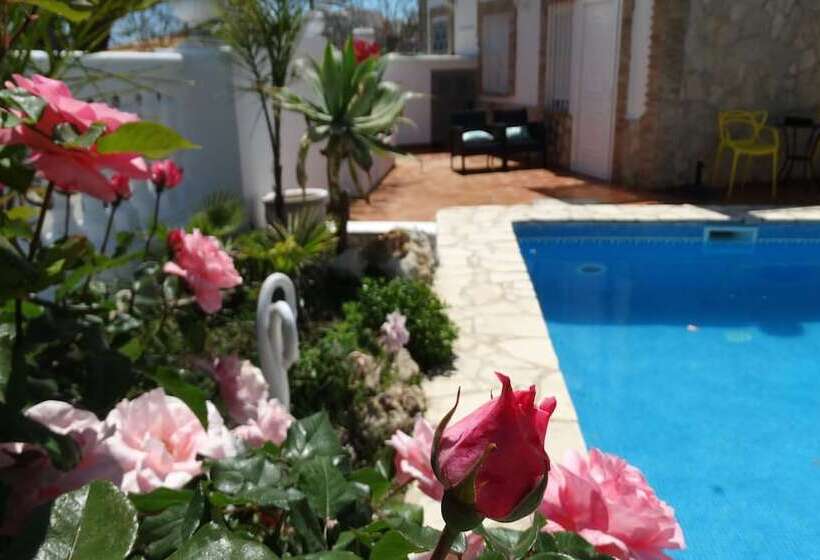Hostal La Paloma Ii   Hotel Calpe Grupo