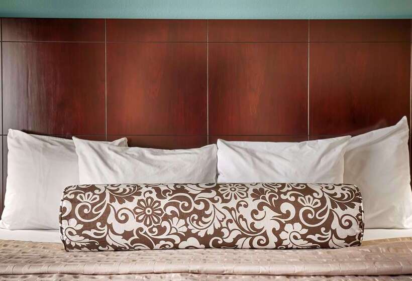 هتل Best Western Plus Katy Inn And Suites