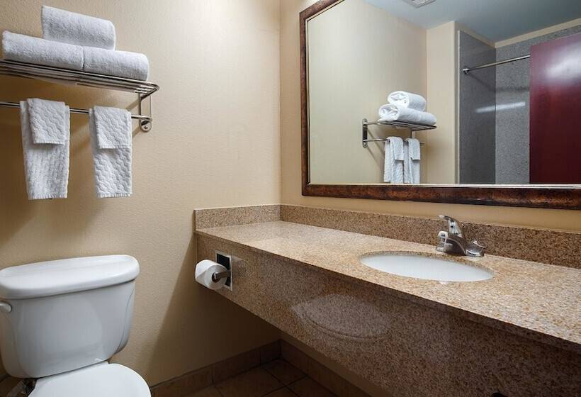 هتل Best Western Plus Katy Inn And Suites