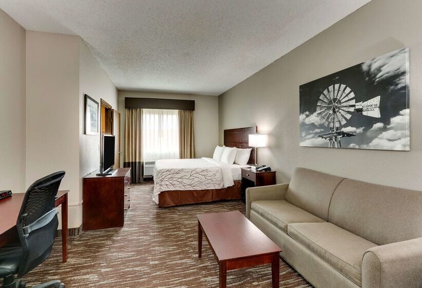 هتل Best Western Plus University Inn & Suites