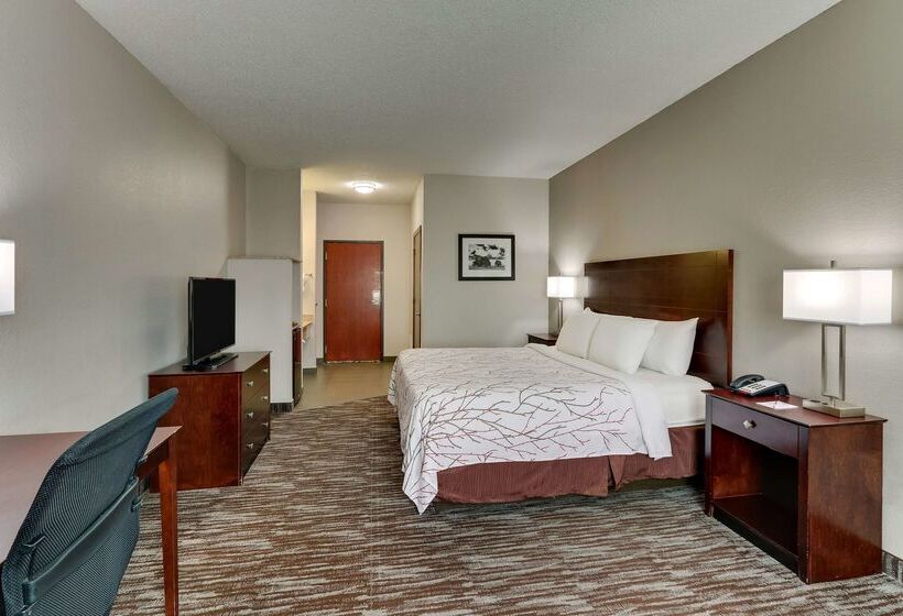 هتل Best Western Plus University Inn & Suites