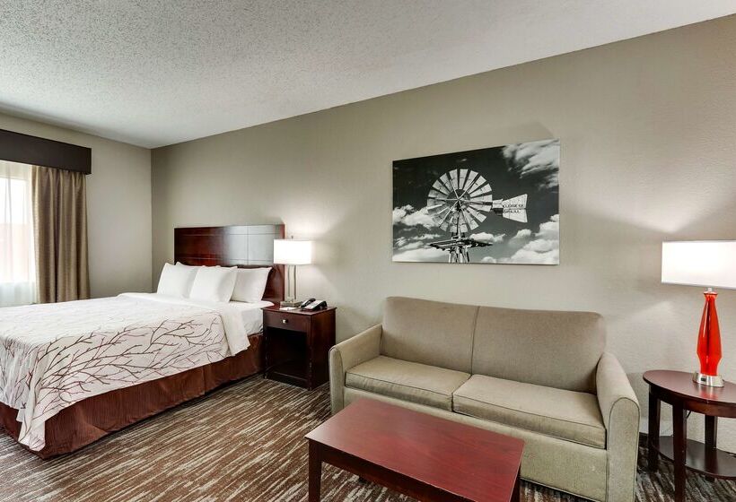 هتل Best Western Plus University Inn & Suites