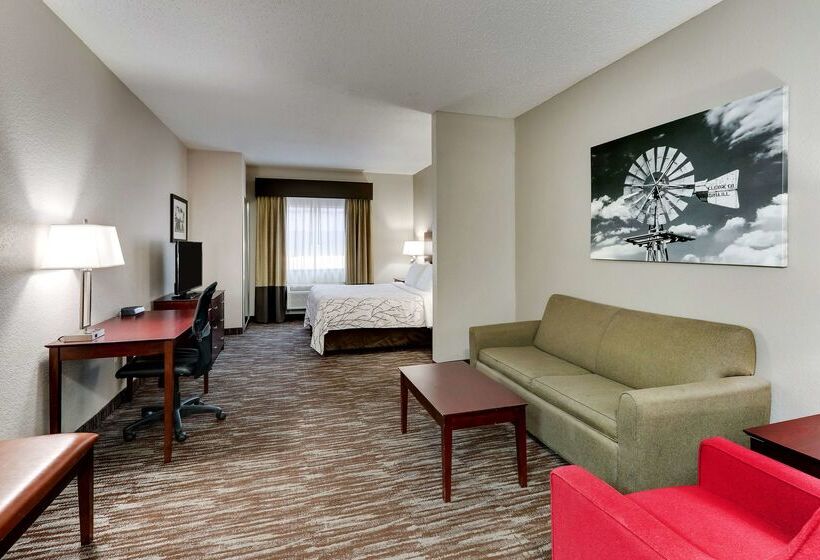 هتل Best Western Plus University Inn & Suites