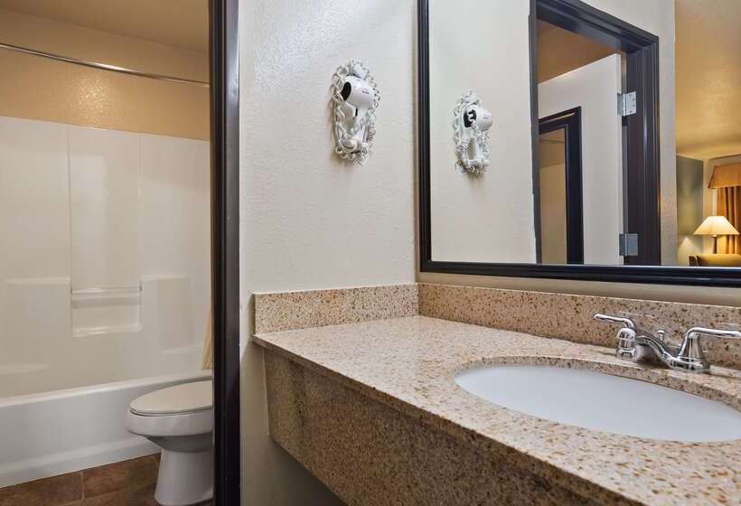 Отель Best Western Regency Inn & Suites