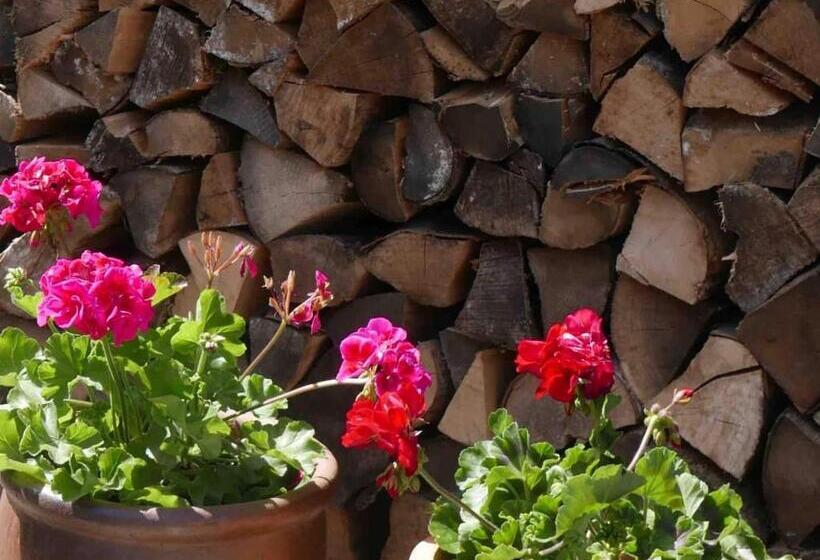 민박 The Potting Shed, Self Contained, Detached Retreat In Shapwick Village