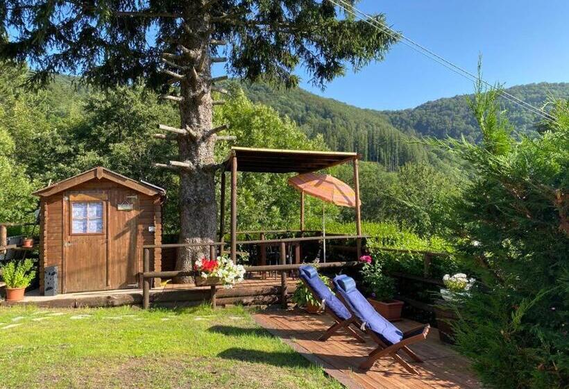 B&b La Soldanella