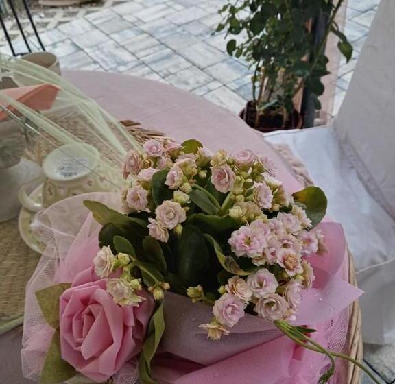 تختخواب و صبحانه Bb Lady