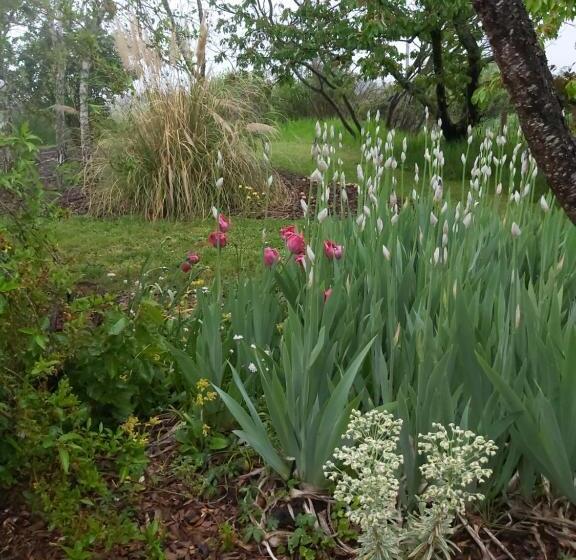 Bed and Breakfast Gite Du Jardin Du Bout Du Ciel