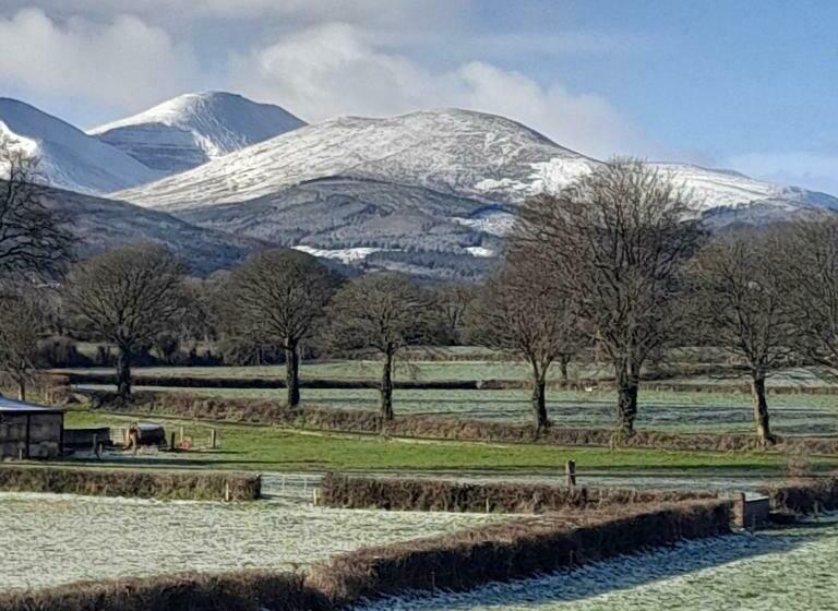 مبيت وإفطار Shadowvale E34x773