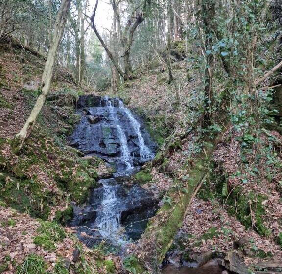 مبيت وإفطار Shadowvale E34x773