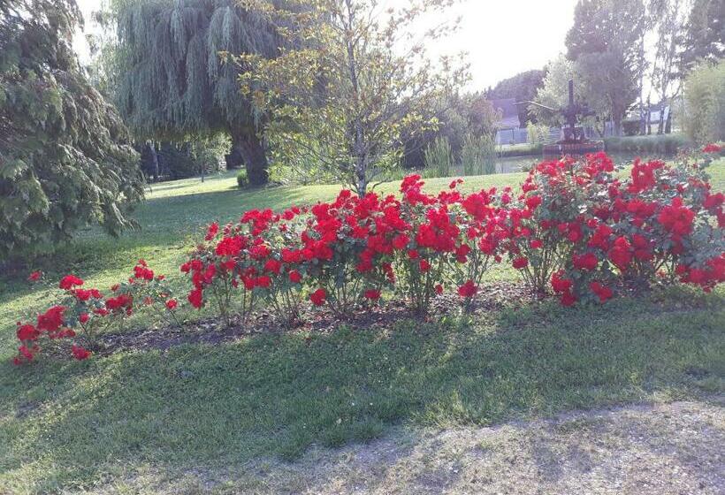 민박 Les Roseaux A La Campagne Au Centre Des Chateaux De La Loire