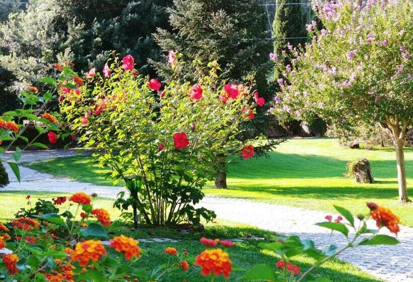 مبيت وإفطار Villa Lucilla