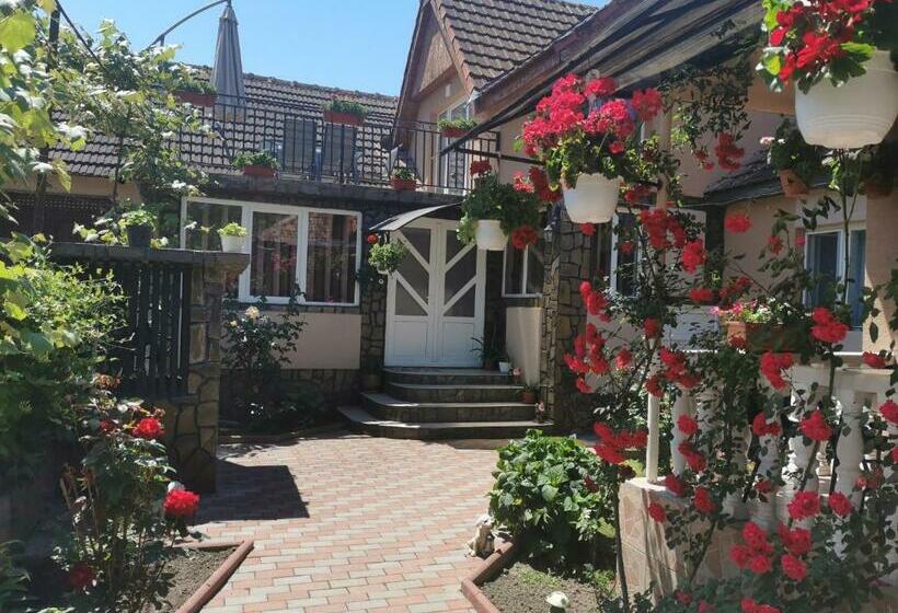 פנסיון Casa Lidia