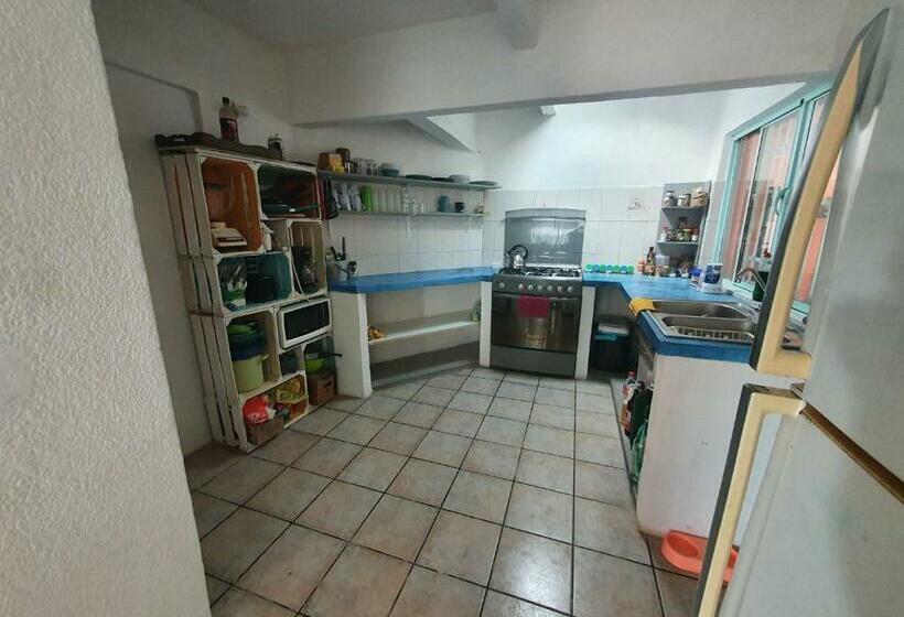 پانسیون Nómadas Hostel