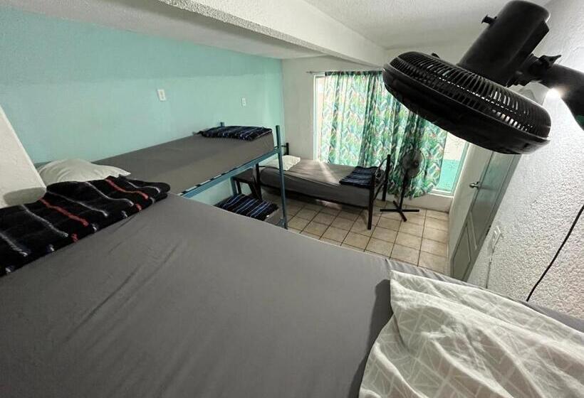 پانسیون Nómadas Hostel