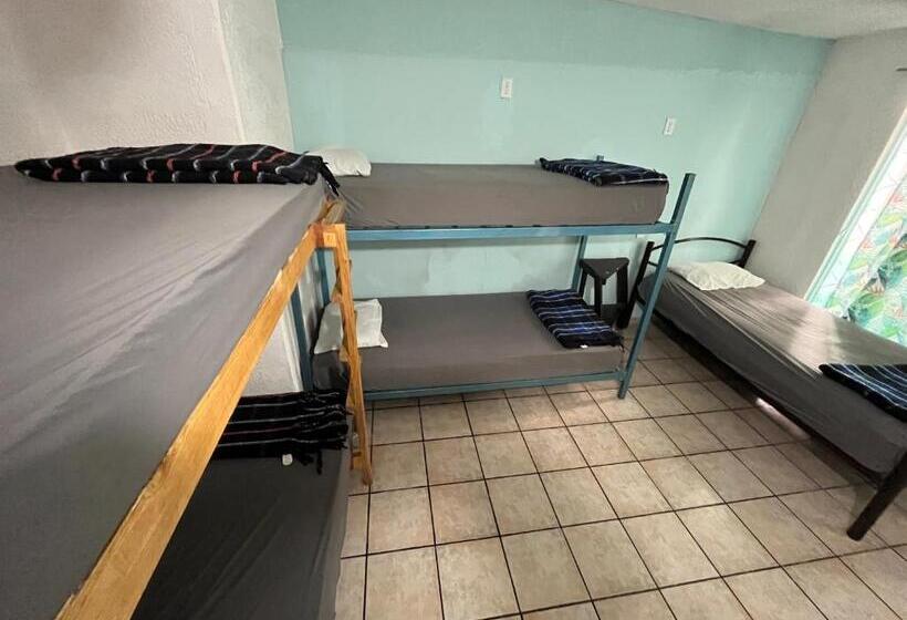 پانسیون Nómadas Hostel