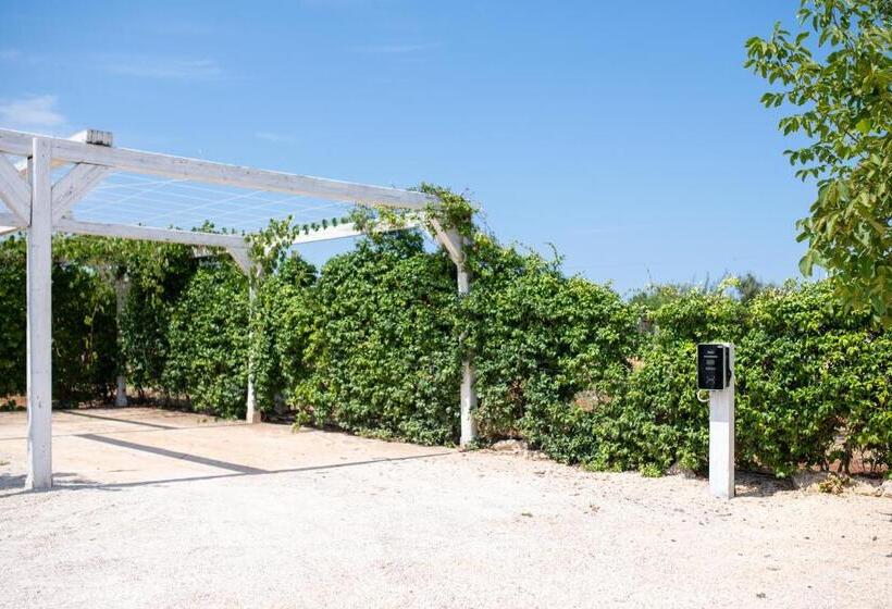 تختخواب و صبحانه Hasamami Eco Trullo, Ostuni Luxury Suite