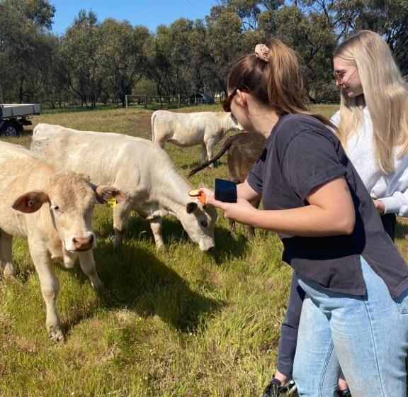 住宿加早餐  Sandalwood Downs Fabulous Farm Stay Toodyay
