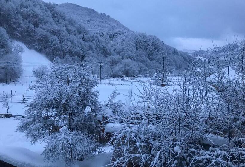 Pensiunea Grapini