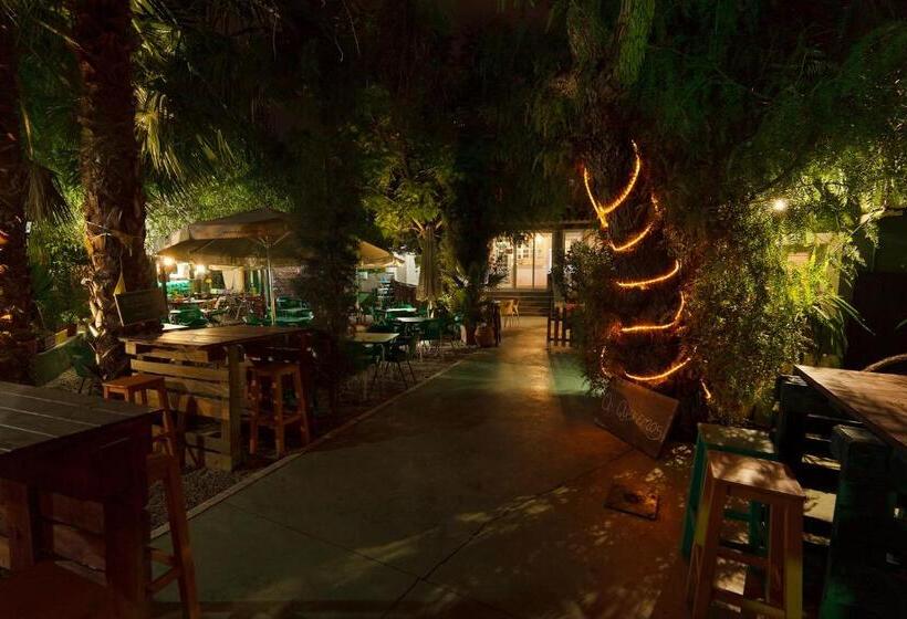 هاستل La Casa Verde