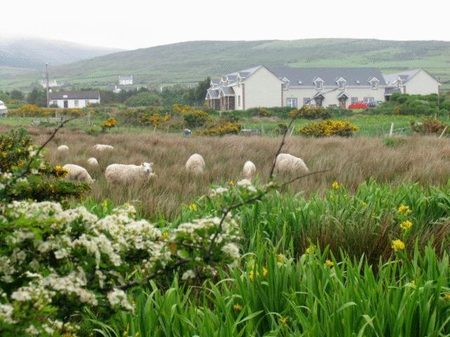 The Skellig Lodge & Hostel