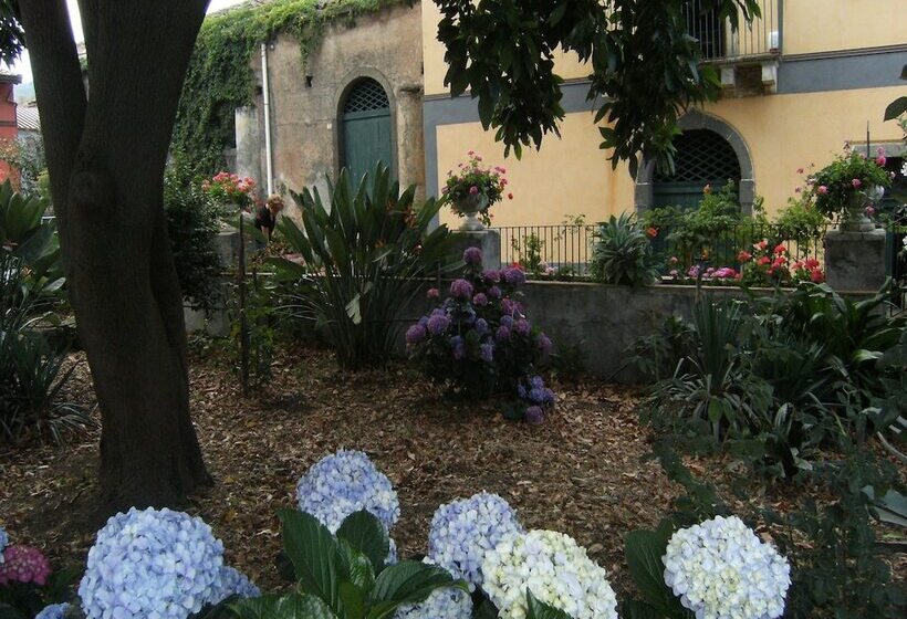 تختخواب و صبحانه Baglio Delle Rose