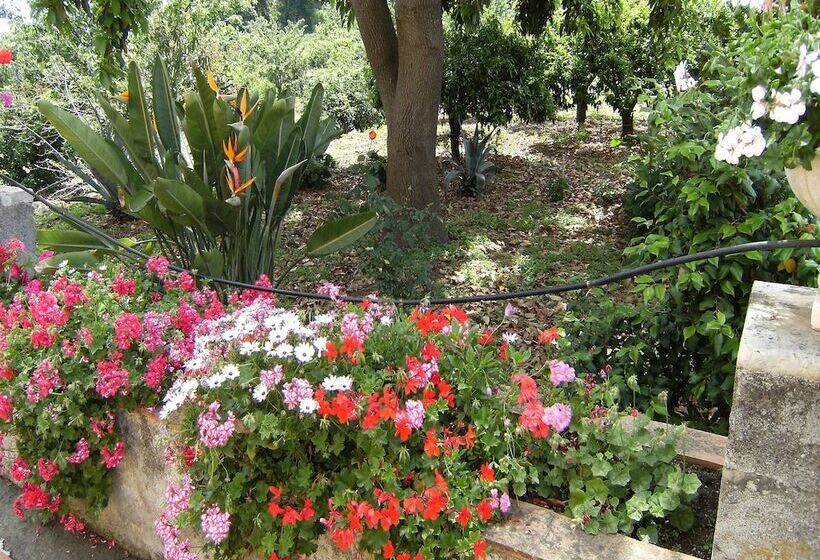 تختخواب و صبحانه Baglio Delle Rose