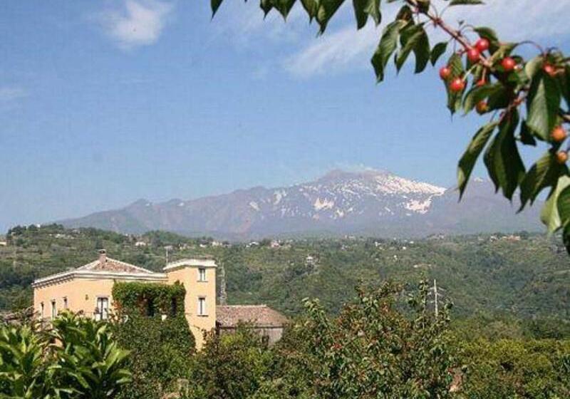 تختخواب و صبحانه Baglio Delle Rose
