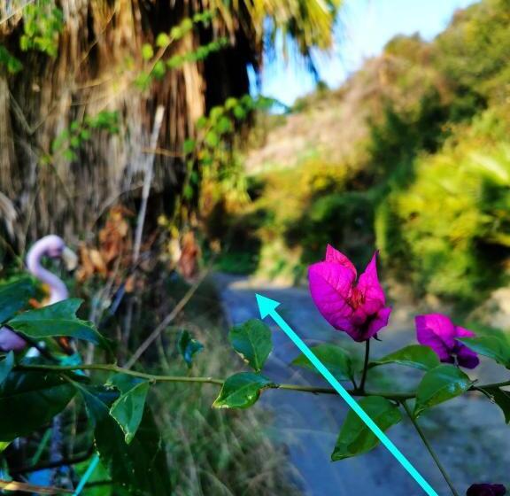 مبيت وإفطار Romantic Casa Lorenzina Affittacamere