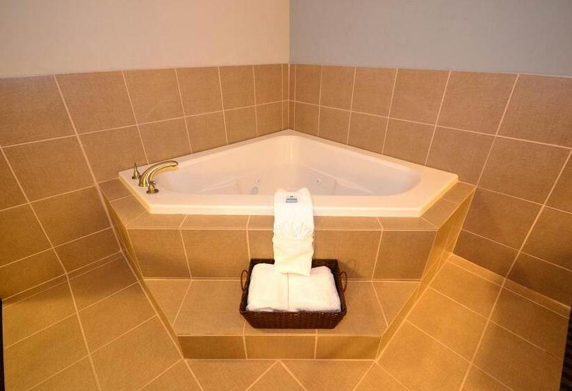 בית מלון כפרי Best Western Abbeville Inn And Suites